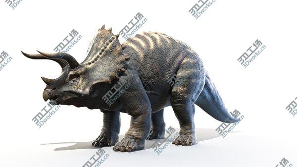 images/goods_img/20210312/3D Triceratops/2.jpg
